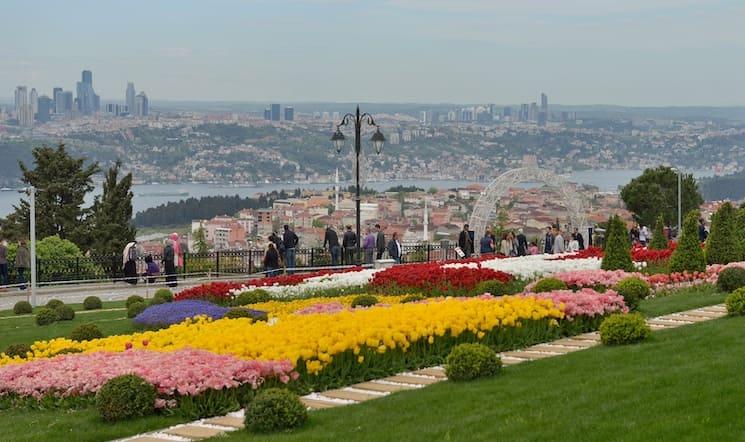 Tulipes colorées dans un parc d’Istanbul avec vue sur le Bosphore et la ville en arrière-plan
