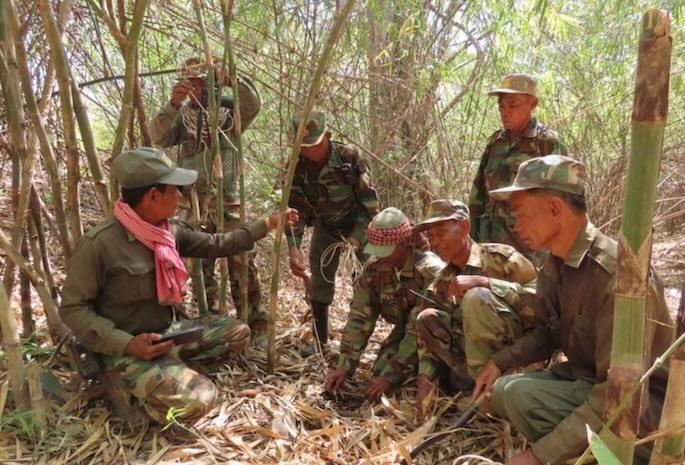À Kampong Speu, une forêt protégée en détresse faute de soutien