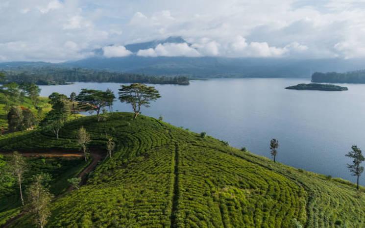Et si votre prochain voyage changeait votre façon de voir le monde ?