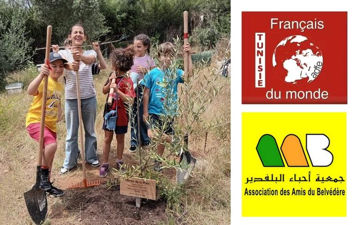 FRANCAIS DU MONDE ADFE LES AMIS DU BELVEDERE TUNISIE UN OLIVIER POUR LA PAIX