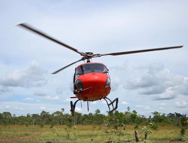 Héli- gudage inédit de 16 bantengs menacés vers une réserve au Cambodge