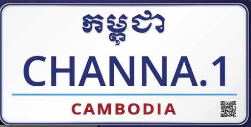 Plaque immatriculation personnalisée copy