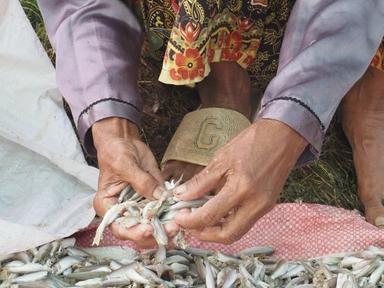 Prahok photo Cambodianess Mom Pitou 2pg