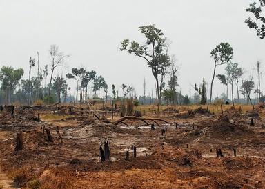 Préserver la biodiversité au Cambodge