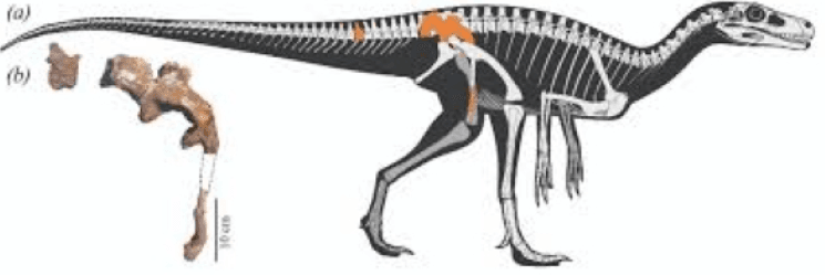 Screenshot 2025-05-18 214155