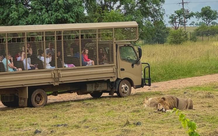 Stage en Afrique du Sud
