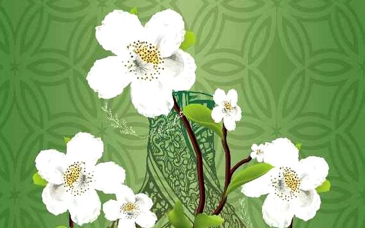 festival nesri zaghouan tunisie