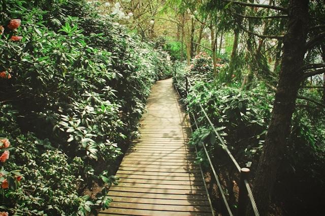 herbert-goetsch-unsplash