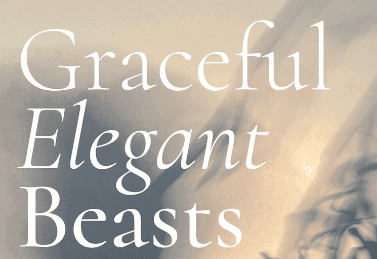 Affiche de l’exposition “Graceful Elegant Beasts” de Larry Muñoz à la Galerie Zilberman