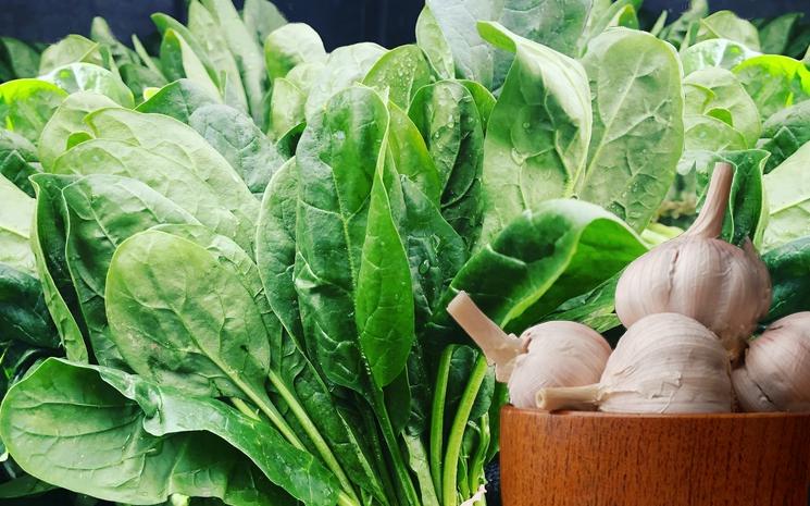 pkaila judeo tunisienne recette