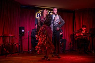 tablao flamenco Alegria andalousie
