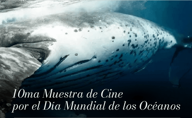 Journée mondiale des Océans : projection spéciale