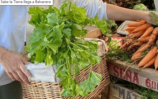 sabe la tierra mercado