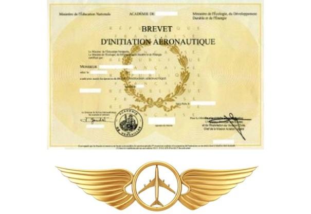 diplome brevet d'initiation aéronautique