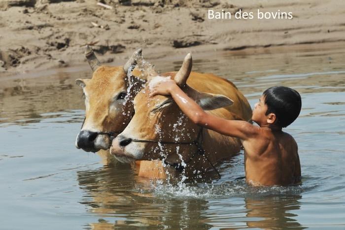 scènes de la vie rurale cambodgienne4
