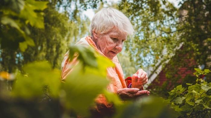 une femme centenaire dans la nature à valencia