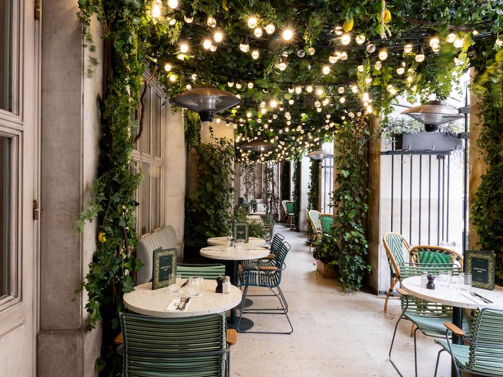 Dépôt légal Terrasse