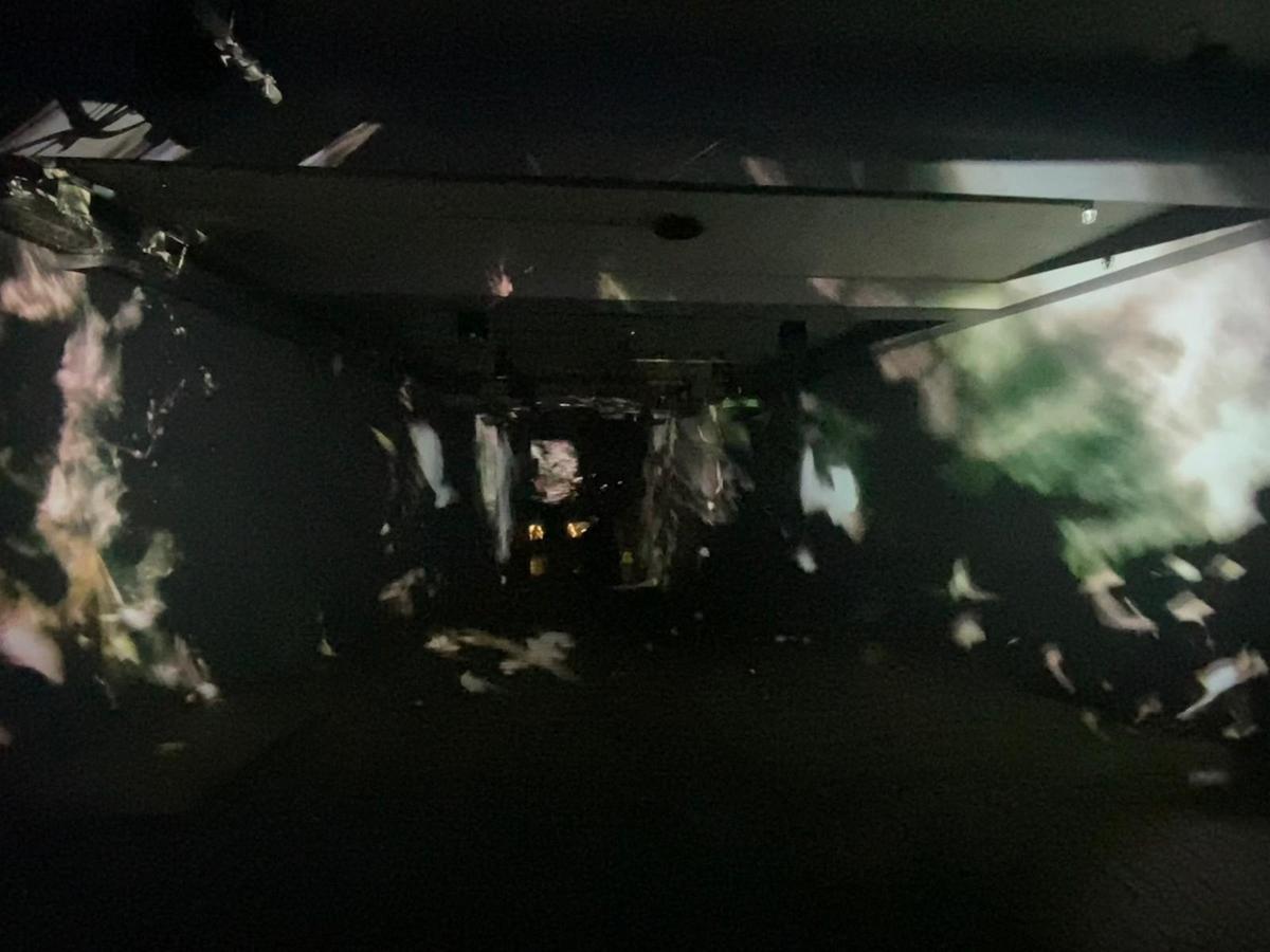 Une rampe sombre qui descend, sur les murs sont projetés des images d'oiseaux marins