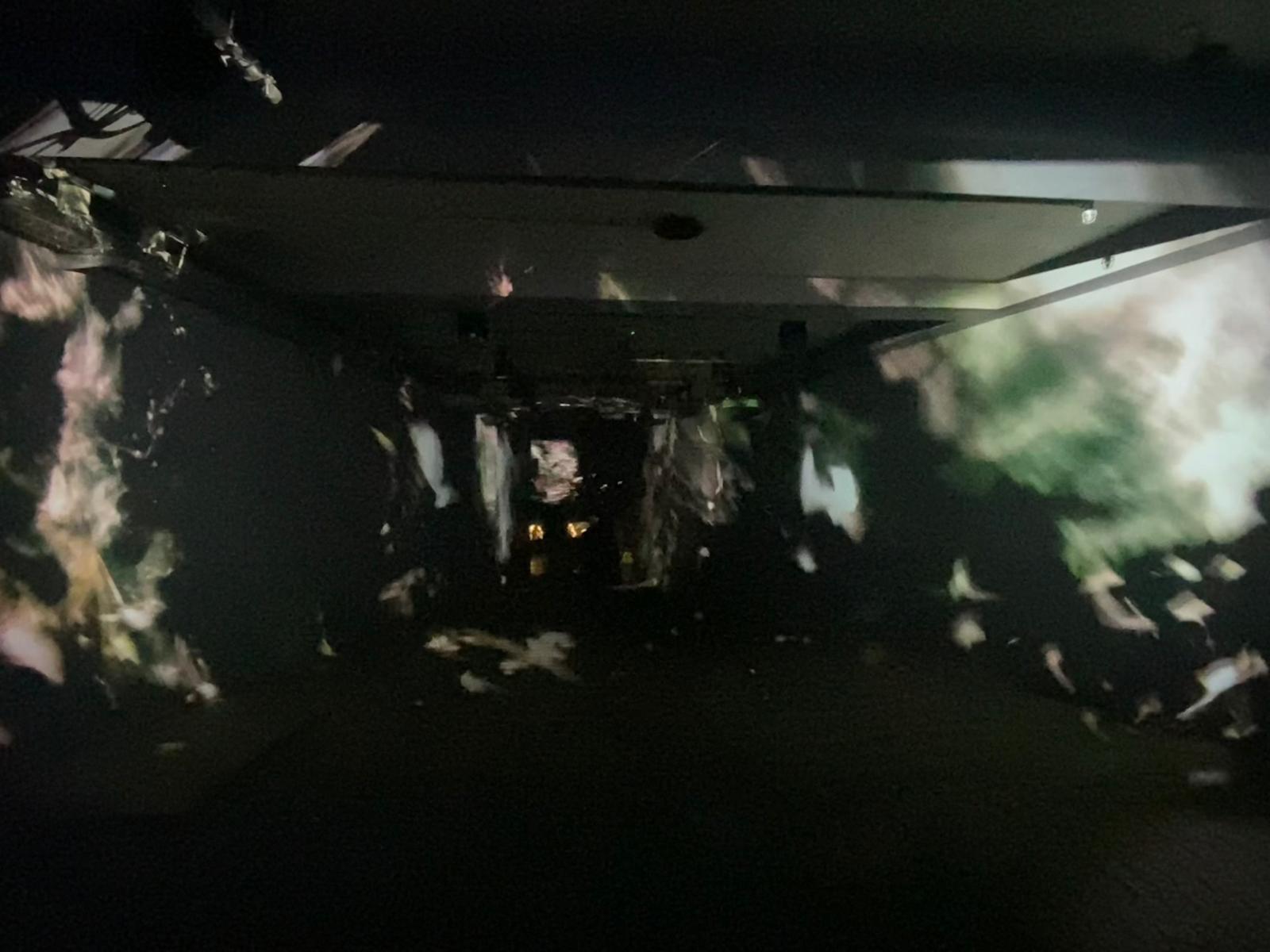 Une rampe sombre qui descend, sur les murs sont projetés des images d'oiseaux marins