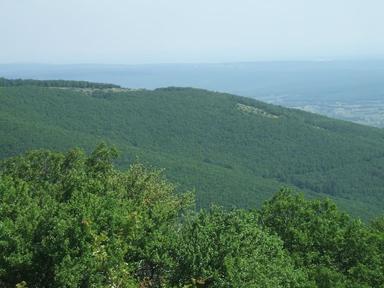 Vue sur les forêts des monts Istranca dans la province de Kırklareli, au nord-ouest de la Turquie