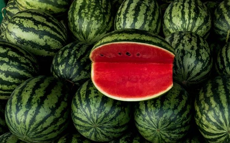 saison de la pastèque gastronomie tunisie