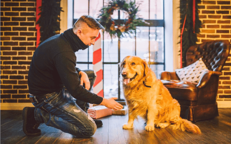 Éducation canine à l’ère du numérique _ pourquoi opter pour Esprit Dog ?