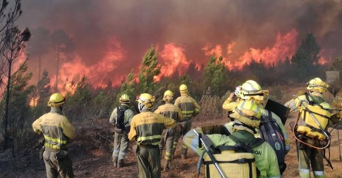 des pombiers espagnols de dos en train de lutter contre un feu de foret