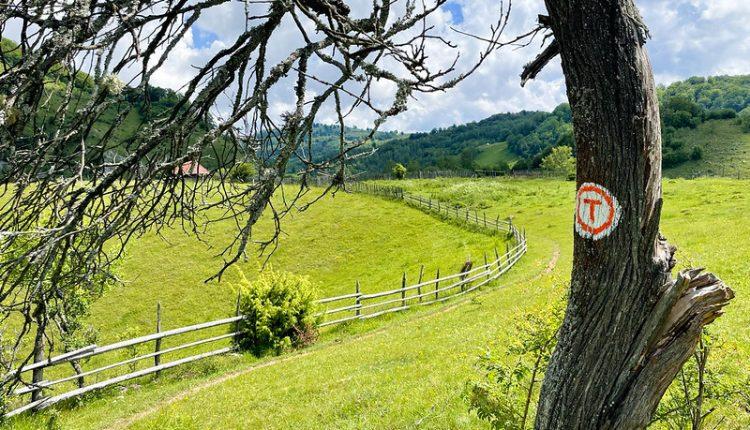 52937422188_e00f018691_c-750x430