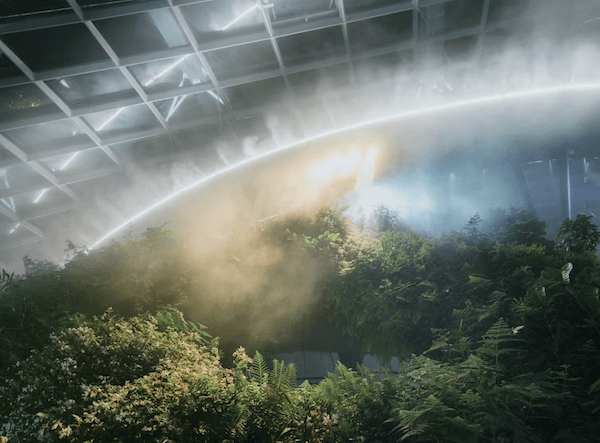 la jungle urbaine de Singapour