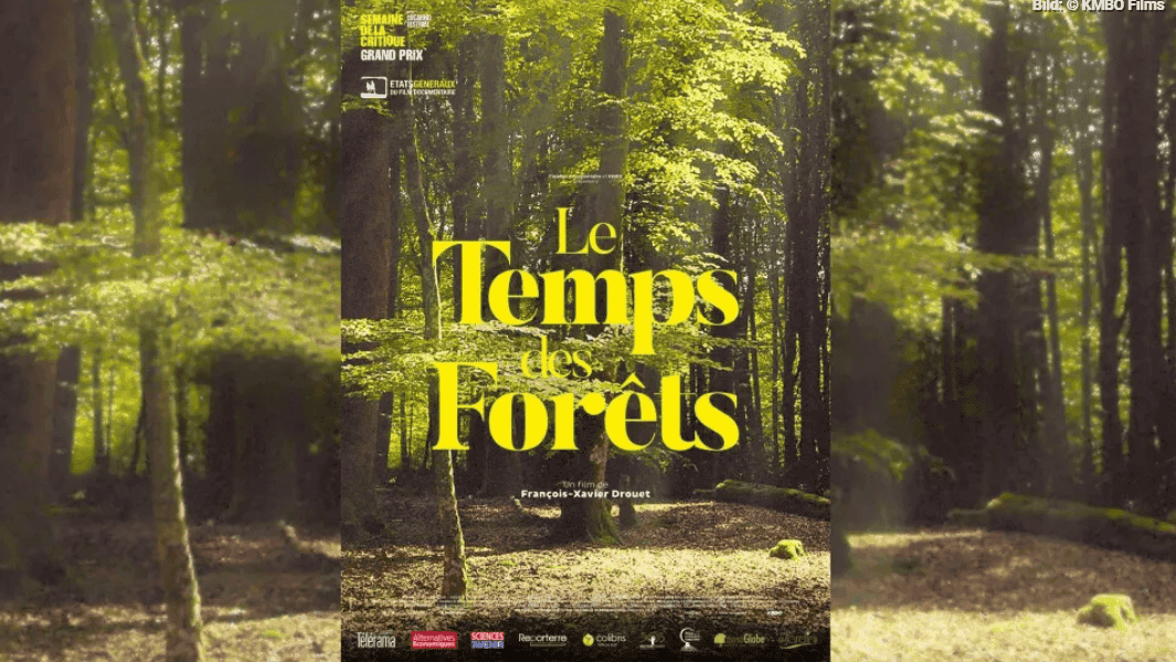 Affiche du Film "Le temps des Forêts"