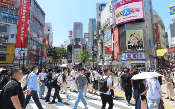 césure japon thycia