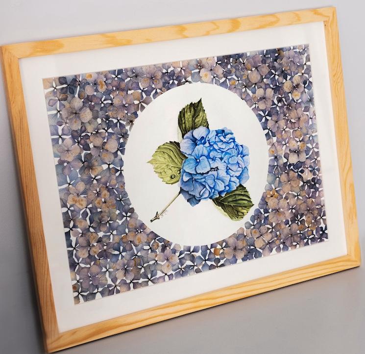 Herbarium avec hortensias bleus, œuvre de Zerrin Gezer