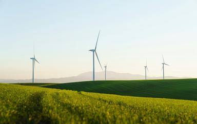 éoliennes dans un parc