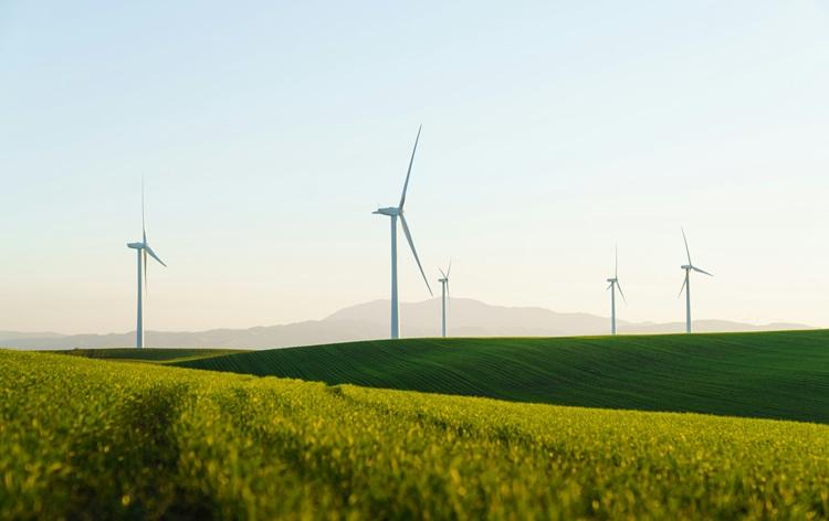 éoliennes dans un parc