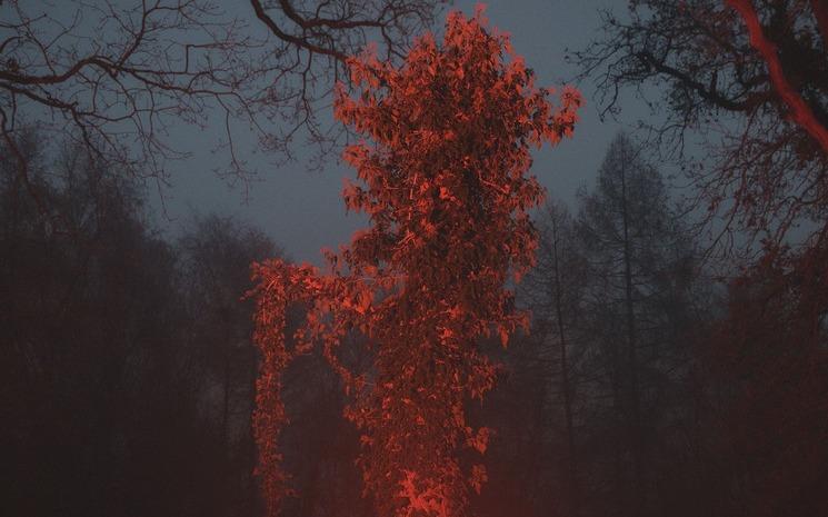 Photo Polly Tootal, Inland.