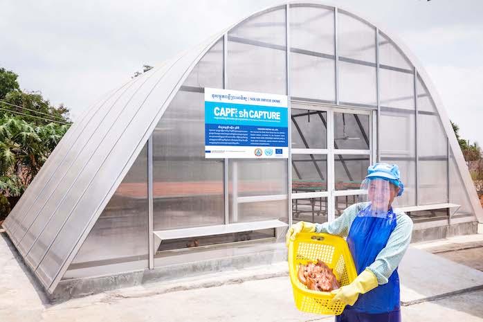 CAPFISH-Capture_Drying Fish in a Solar Dryer Dome