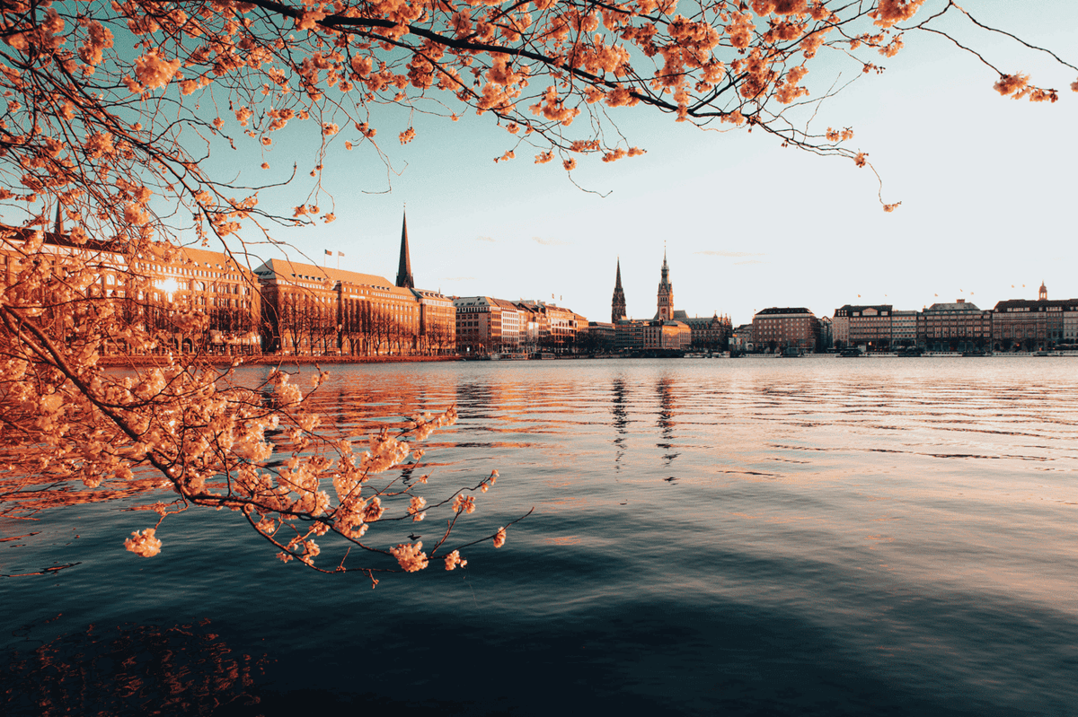 Centre ville de Hambourg (1)