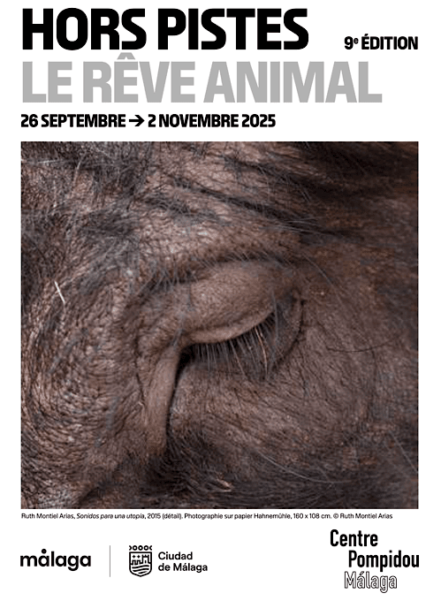 L’événement « Hors Pistes » est de retour au Centre Pompidou de Malaga avec sa 9e édition : « El sueño animal », une exploration poétique des rêves des animaux à travers les œuvres de onze artistes.
