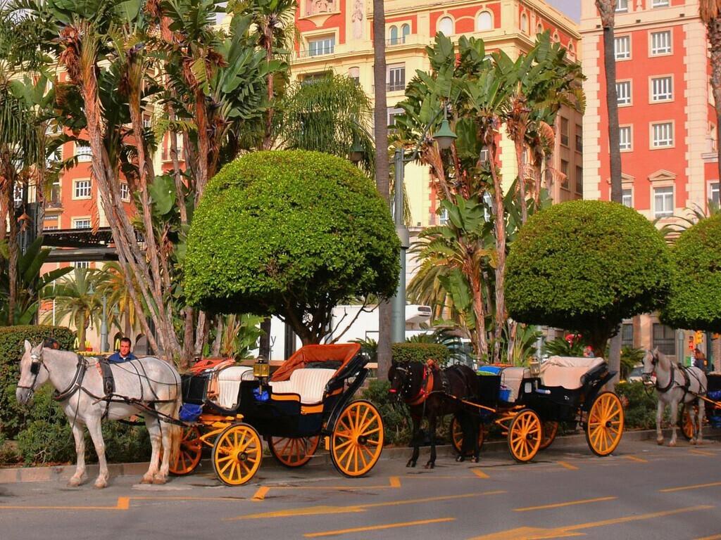 Fin des calèches pour touristes à Málaga