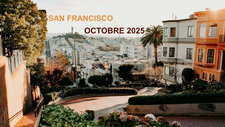 Vue de Lombard Street à San Francisco