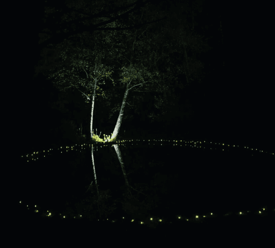 festival des Lumières Vinterviken