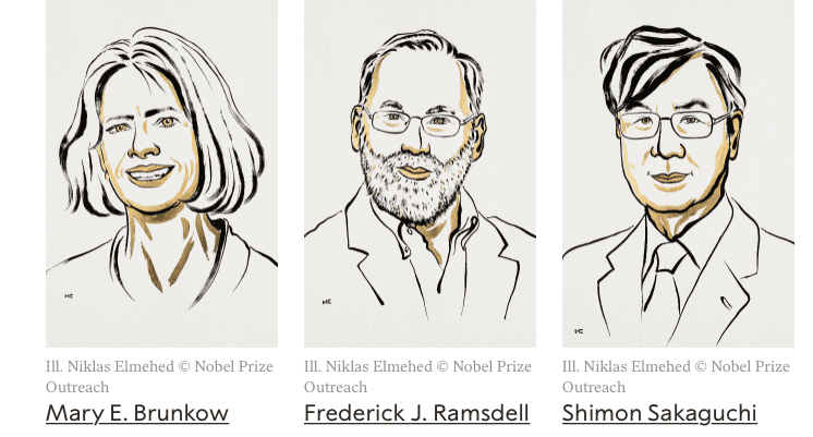 Mary E. Brunkow, Fred Ramsdell et Shimon Sakaguchi, prix Nobel médecine 2025