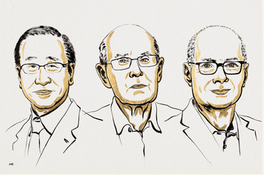 Le prix Nobel de chimie décerné à Susumu Kitagawa, Richard Robson et Omar M. Yaghi