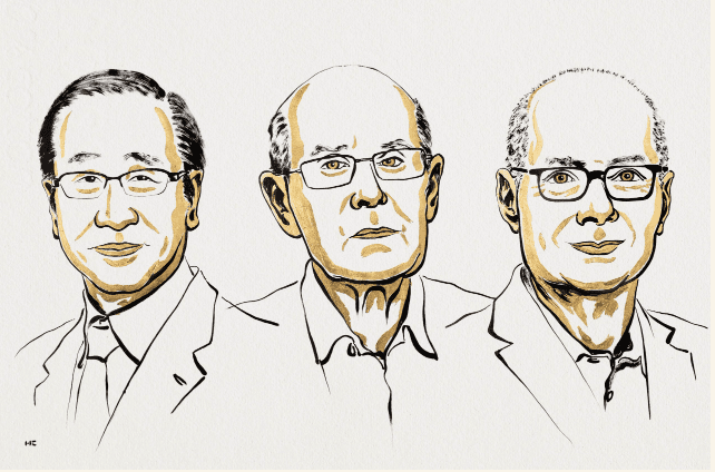 Le prix Nobel de chimie décerné à Susumu Kitagawa, Richard Robson et Omar M. Yaghi