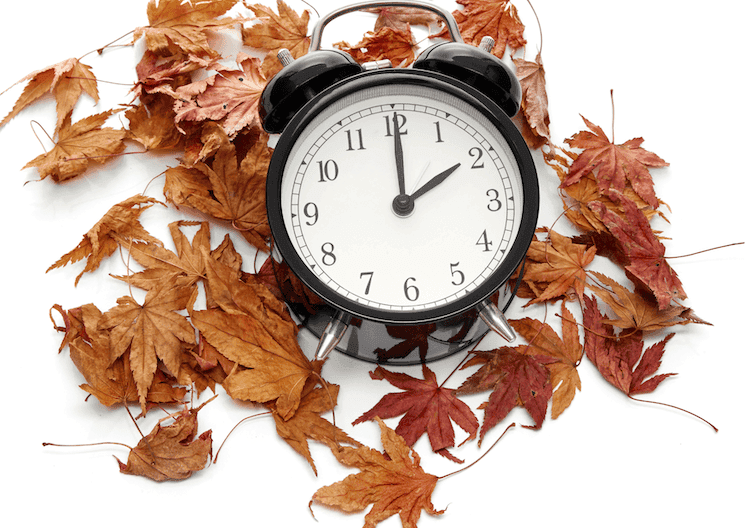 Réveil entouré de feuilles d’automne pour illustrer le passage à l’heure d’hiver