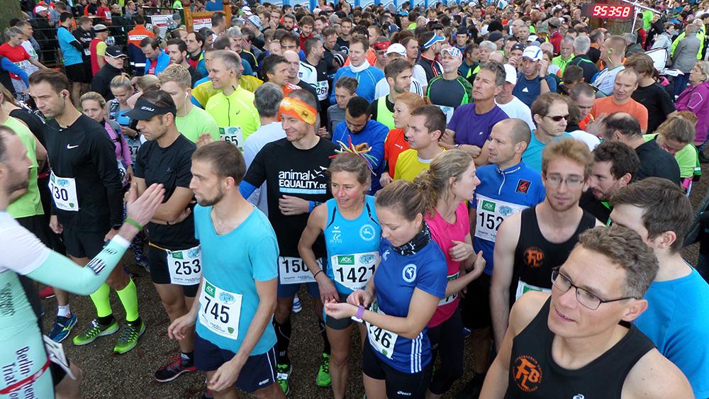 Müggelsee-Halbmarathon 2019 © www.mtmedia.de