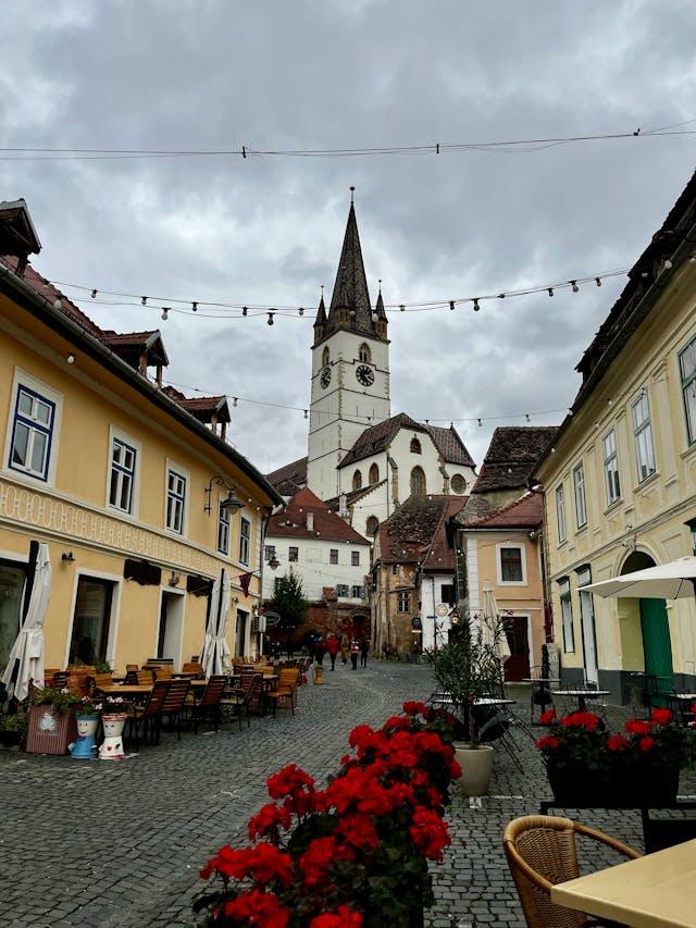 pexels-elenav-2011499497-34169000(1)