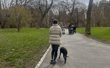Une maîtresse tient son chien en laisse dans Central Park