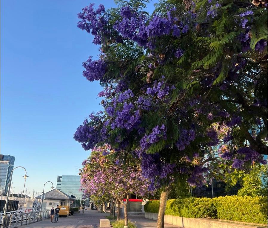 Capture d’écran 2025-11-28 à 11.20.02