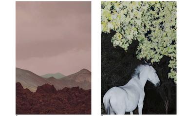 Les paysages réinventés de Létizia Le Fur à l’Ambassade de France